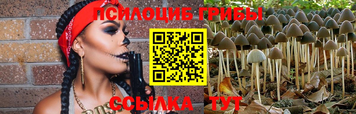 Галлюциногенные грибы Psilocybine cubensis  наркотики  Кингисепп  Галлюциногенные грибы мицелий  Вход с VPN 