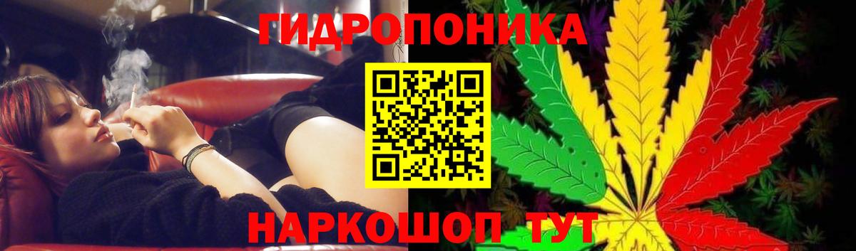 Шишки марихуана MAZAR  Марихуана MAZAR  Канабис планчик  Кингисепп  Вход с VPN 